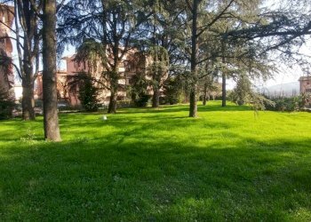 villa VIGNOLA (12).jpg - Villa Via Papa Giovanni Paolo II 10, Vignola - foto 11