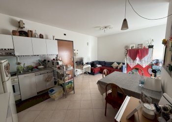 IMG_4361.jpeg - Two-room apartment Viale Venezia, Rovigo - photo 2