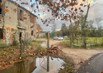 IMG_9116.jpg - Rustico Via San Cristoforo 129, Massa - foto 5