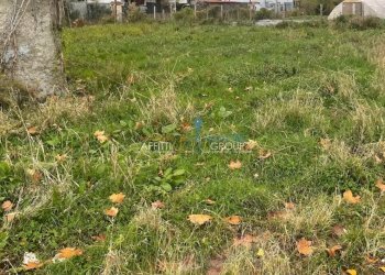 7-IMG_9117.jpg.jpg - Rustico Via San Cristoforo 129, Massa - foto 15