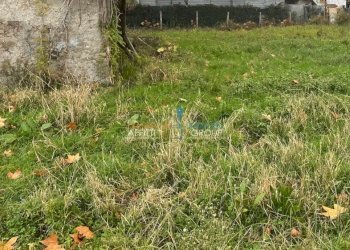 8-IMG_9118.jpg.jpg - Rustico Via San Cristoforo 129, Massa - foto 16