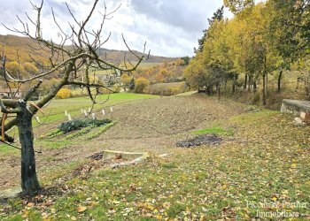 02.jpg - Terreno agricolo Località Colonnata, Gubbio - foto 2