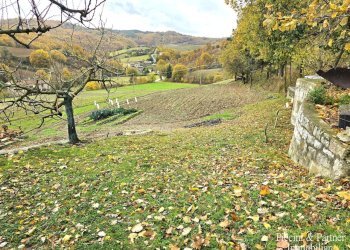 07.jpg - Terreno agricolo Località Colonnata, Gubbio - foto 7