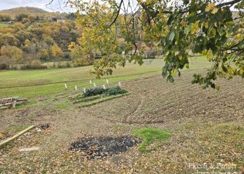 08.jpg - Terreno agricolo Località Colonnata, Gubbio - foto 8