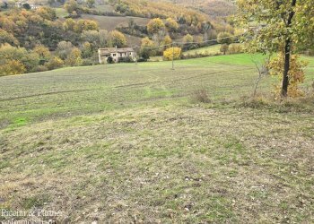 09.jpg - Terreno agricolo Località Colonnata, Gubbio - foto 9