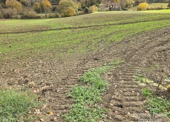 10.jpg - Terreno agricolo Località Colonnata, Gubbio - foto 10
