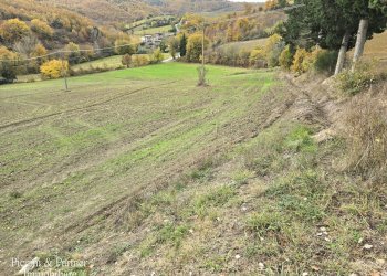 13.jpg - Terreno agricolo Località Colonnata, Gubbio - foto 13