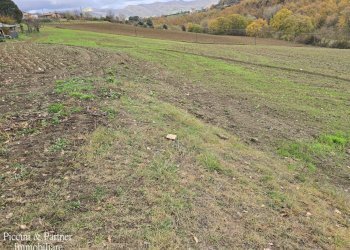 14.jpg - Terreno agricolo Località Colonnata, Gubbio - foto 14