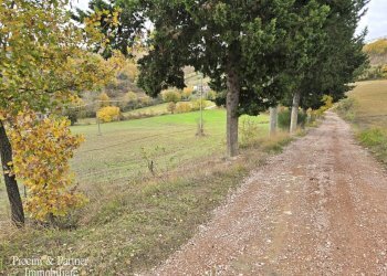 24.jpg - Terreno agricolo Località Colonnata, Gubbio - foto 24