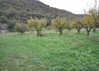 DSC_0925.JPG - Rustico Via Squaranto 6, Verona - foto 18