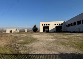 IMG-20251219-WA0025.jpg - Commercial Premises Via Morolense, Ceccano - photo 5