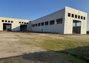 IMG-20251219-WA0024.jpg - Commercial Premises Via Morolense, Ceccano - photo 7