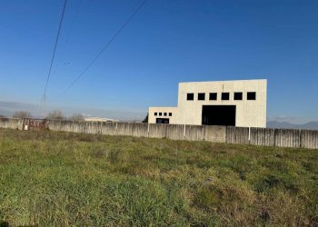 IMG-20251219-WA0001.jpg - Commercial Premises Via Morolense, Ceccano - photo 15