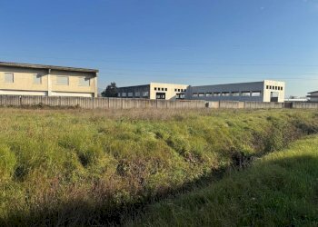 IMG-20251219-WA0012.jpg - Commercial Premises Via Morolense, Ceccano - photo 18