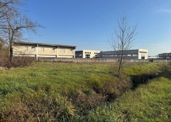 IMG-20251219-WA0014.jpg - Commercial Premises Via Morolense, Ceccano - photo 19