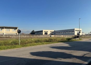 IMG-20251219-WA0019.jpg - Commercial Premises Via Morolense, Ceccano - photo 21