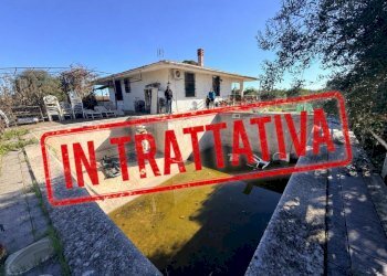 PHOTO-2026-05-11-15-29-11.jpg - Villa Strada Spinagallo, Siracusa - photo 1