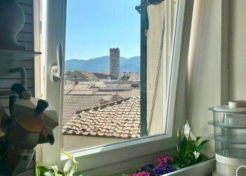 cb975145-3f8f-4f54-94b2-b6b5361ba61b.jpg - Attico Sarzana - foto 23