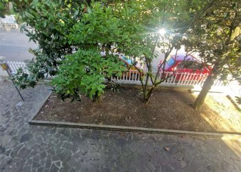 Appartamento Castellarano - foto 29