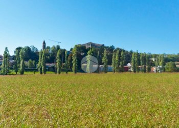 Quadrilocale Via pasubio, Rivoli - foto 5