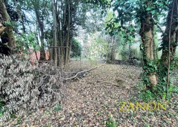 Foto 11 - Stabile - Palazzo Via Dante Alighieri, Sagrado - foto 11