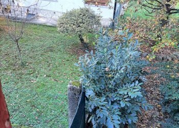 Foto 12 - Casa semi indipendente Via Pot Na Roje, Savogna d'Isonzo - foto 12