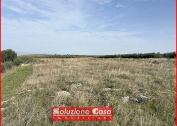 Foto 2 - Agricultural land contrada Sant'antonio, Canosa di Puglia - photo 2