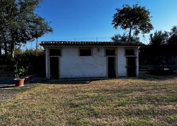 Foto 5 - Casa indipendente Montottone - foto 5