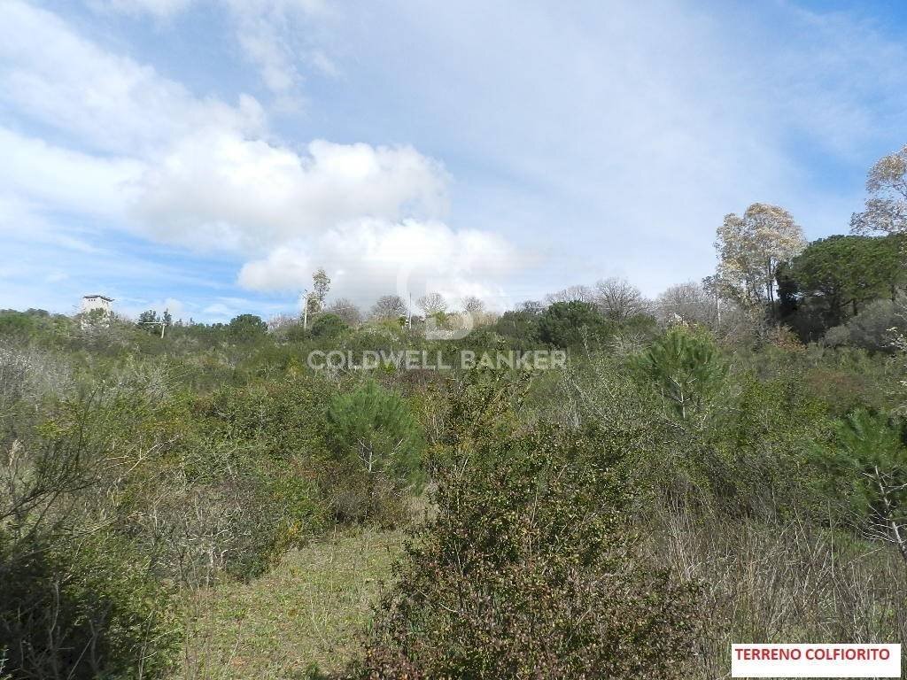 Foto 3 - Agricultural land Via Colfiorito, Santa Marinella - photo 3