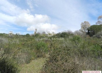 Foto 3 - Agricultural land Via Colfiorito, Santa Marinella - photo 3