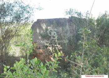 Foto 5 - Agricultural land Via Colfiorito, Santa Marinella - photo 5