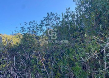 Foto 6 - Agricultural land Via Colfiorito, Santa Marinella - photo 6