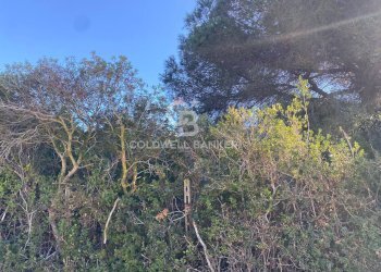 Foto 7 - Agricultural land Via Colfiorito, Santa Marinella - photo 7