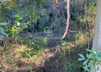 Foto 8 - Agricultural land Via Colfiorito, Santa Marinella - photo 8