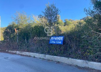 Foto 9 - Agricultural land Via Colfiorito, Santa Marinella - photo 9