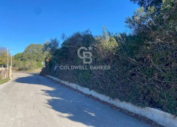 Foto 10 - Agricultural land Via Colfiorito, Santa Marinella - photo 10