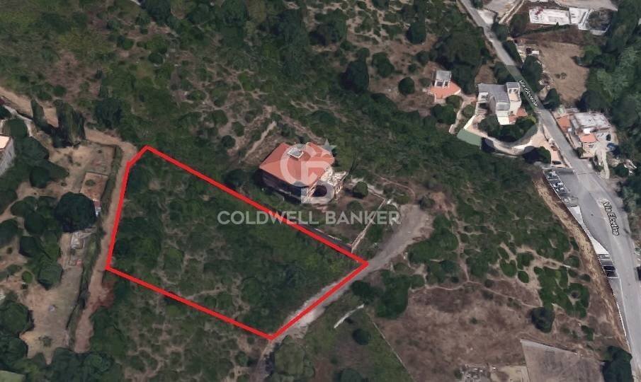 Foto 2 - Terreno agricolo via Albisola, Santa Marinella - foto 2