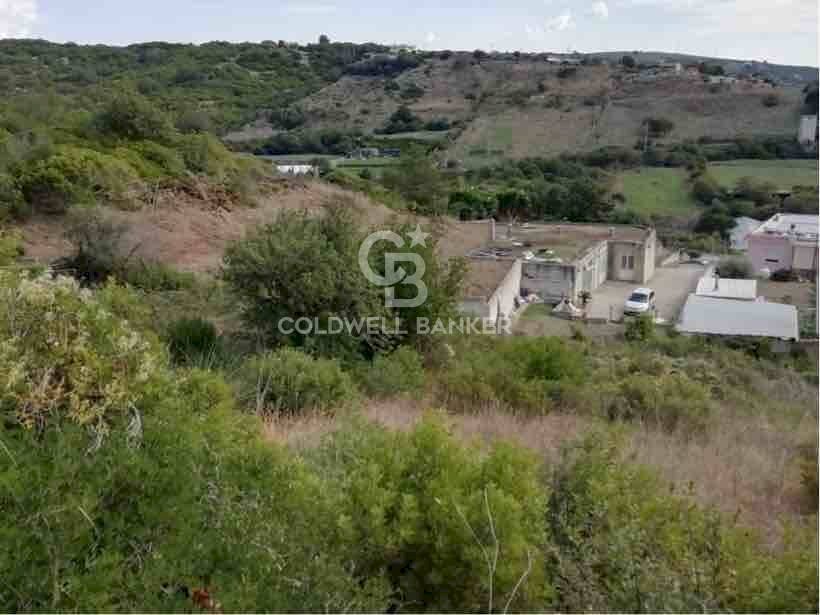 Foto 3 - Terreno agricolo via Albisola, Santa Marinella - foto 3