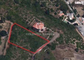 Foto 2 - Agricultural land via Albisola, Santa Marinella - photo 2