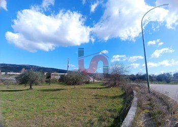 Foto 2 - Terreno edificabile Contrada Olivola, Benevento - foto 2