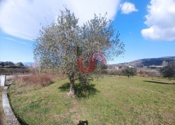 Foto 4 - Terreno edificabile Contrada Olivola, Benevento - foto 4