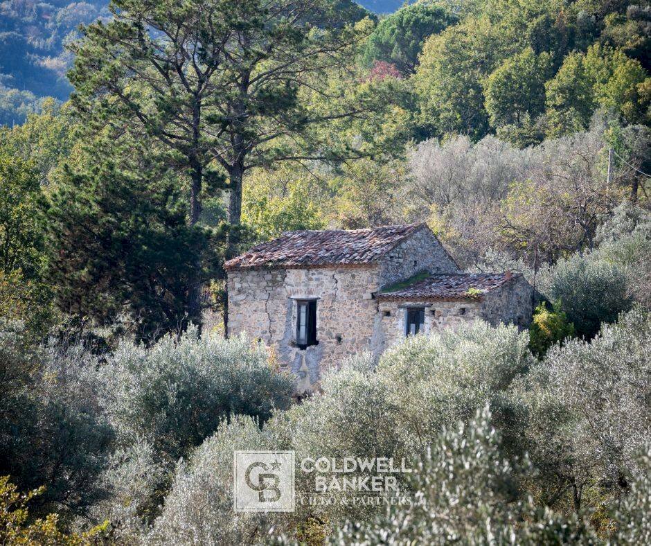 Foto 1 - Rustic via Serra Cerreta
 
2, Omignano - photo 1