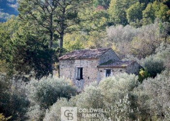 Foto 1 - Rustico via Serra Cerreta
 
2, Omignano - foto 1