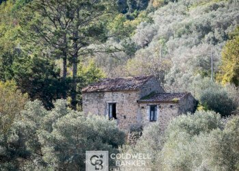 Foto 3 - Rustico via Serra Cerreta
 
2, Omignano - foto 3