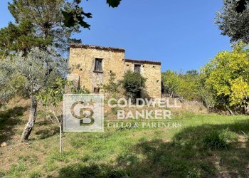 Foto 4 - Rustico via Serra Cerreta
 
2, Omignano - foto 4