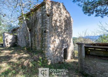 Foto 5 - Rustico via Serra Cerreta
 
2, Omignano - foto 5