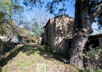 Foto 9 - Rustico via Serra Cerreta
 
2, Omignano - foto 9