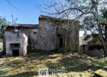 Foto 10 - Rustico via Serra Cerreta
 
2, Omignano - foto 10