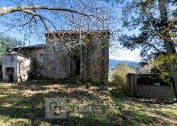 Foto 11 - Rustico via Serra Cerreta
 
2, Omignano - foto 11