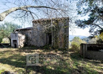 Foto 12 - Rustico via Serra Cerreta
 
2, Omignano - foto 12